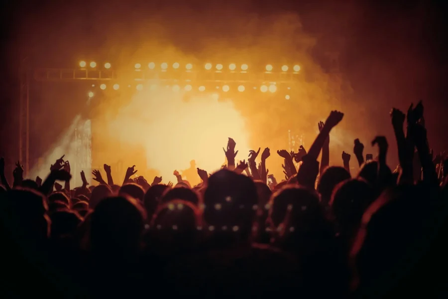 Renginio fotografija — Atlikėjai ir DJ