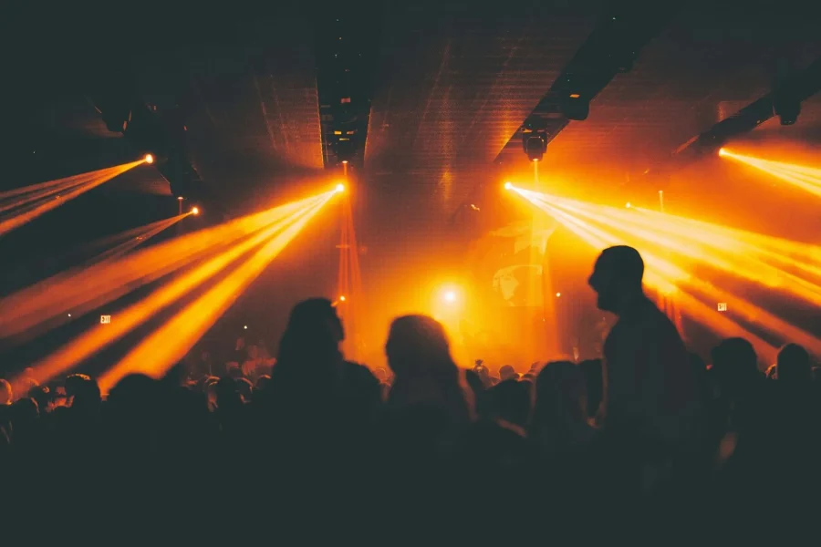 Renginio fotografija — Atlikėjai ir DJ